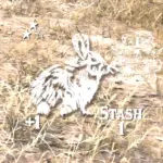 Ultimate Frontier Stash5