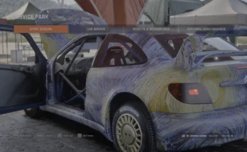 Van Gogh - Starry Night Art Car Xsara1