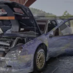 Van Gogh - Starry Night Art Car Xsara2