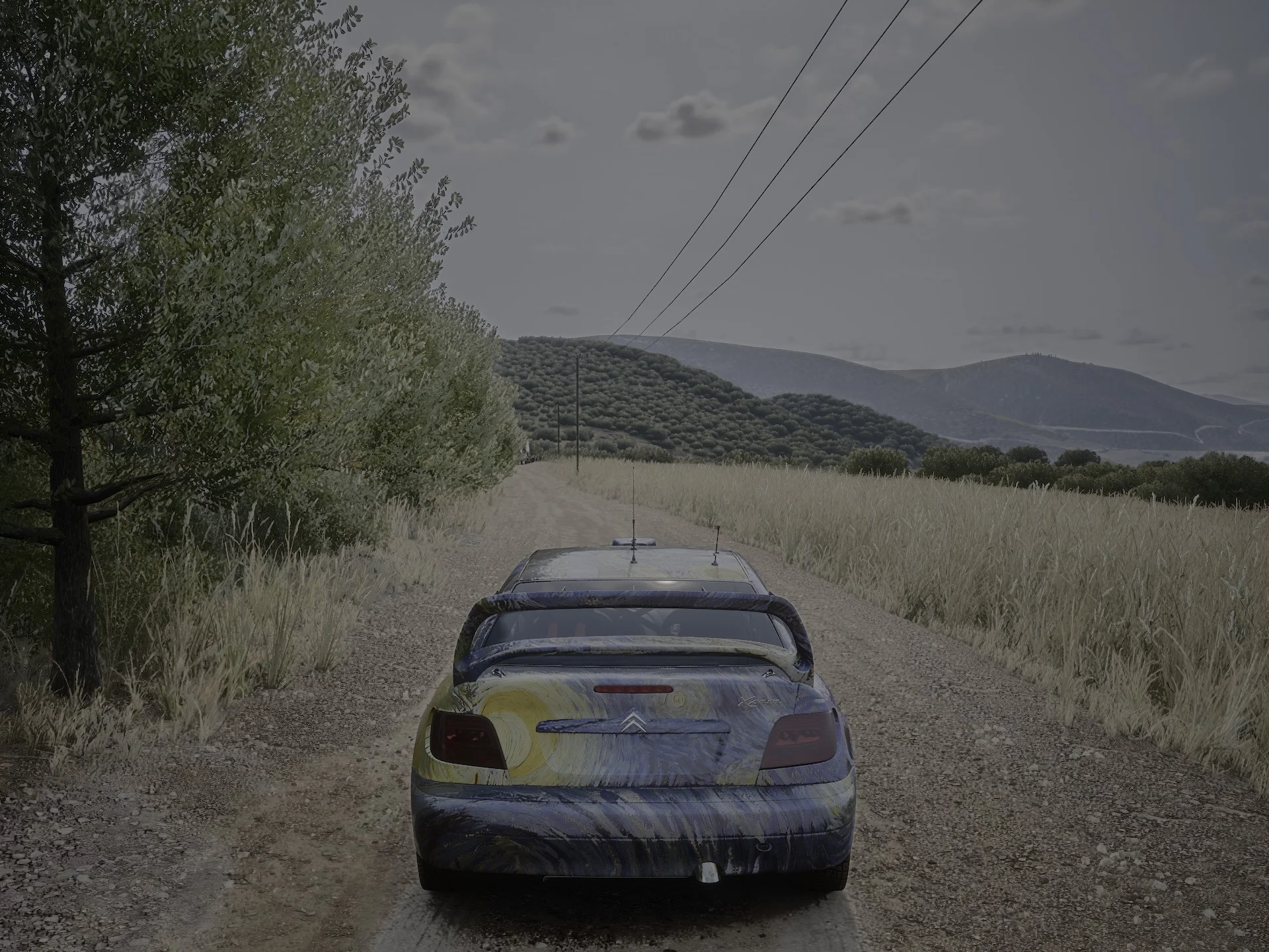Van Gogh - Starry Night Art Car Xsara3