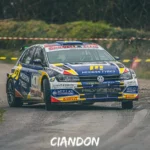 Volkswagen Polo GTI R5 Alastair Fisher